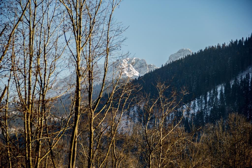 Dolina Resort Zakopane Kościelisko Camera foto